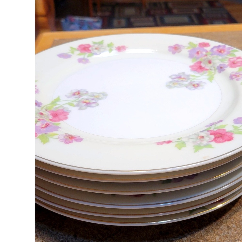 Handpainted China Plates Floral Design Set of 6 Japan Vintage Elegant Dinnerware
